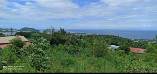 Achat Terrain Saint-Joseph (97480) - REUNION