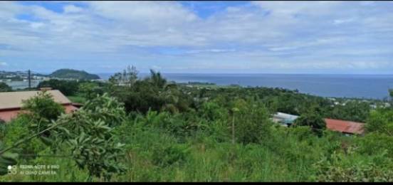 Achat Terrain Saint-Joseph (97480) - REUNION