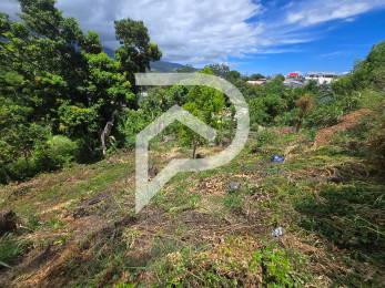 Achat Terrain Sainte-Marie (97438) - REUNION