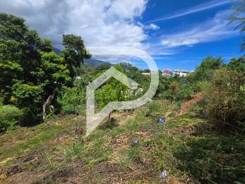 Achat Terrain Sainte-Marie (97438) - REUNION
