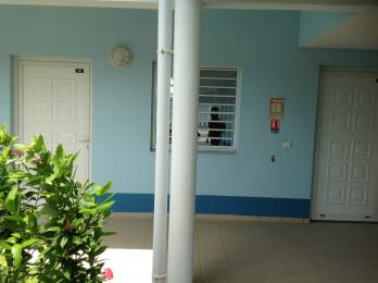 Location  Local Professionnel Petit Canal (97131) - GUADELOUPE