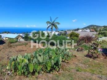 Achat Terrain Petite Ile (97429) - REUNION