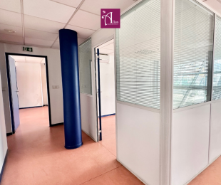 Location  Local Professionnel Les Abymes (97139) - GUADELOUPE