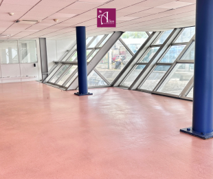Location  Local Professionnel Les Abymes (97139) - GUADELOUPE