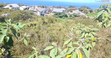 a vendre deux magnifiques terrain d'environ 758 m² par terrain à piton hyacinthe la plaine des cafres