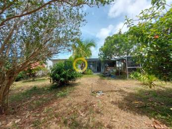 Achat Maison Saint-Joseph (97480) - REUNION