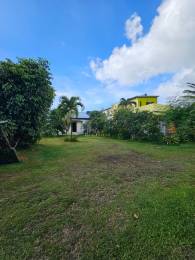 Achat Maison Saint-Benoît (97470) - REUNION
