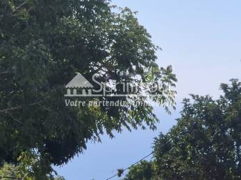 Location Maison Saint-Claude (97120) - GUADELOUPE