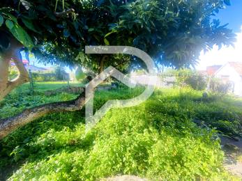 Achat Terrain Tampon (97430) - REUNION