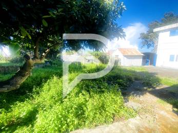 Achat Terrain Tampon (97430) - REUNION