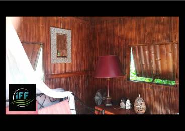 Location Rez De Jardin Saint-Paul (97460) - REUNION