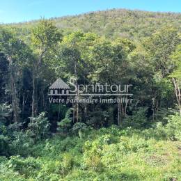 Achat Terrain Bouillante (97125) - GUADELOUPE