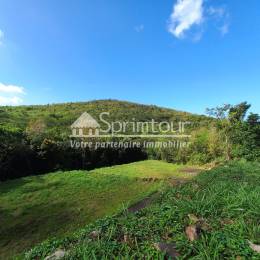 Achat Terrain Bouillante (97125) - GUADELOUPE