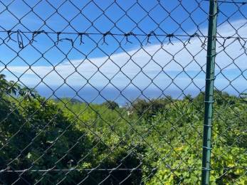 Achat Maison Saint-Joseph (97480) - REUNION