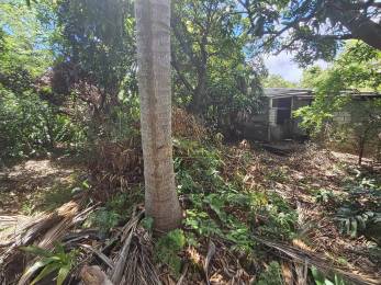 Achat Maison Sainte-Marie (97438) - REUNION