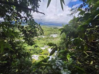 Achat Maison Sainte-Marie (97438) - REUNION