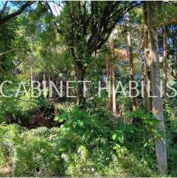 Achat Terrain Saint-Joseph (97480) - REUNION