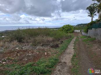 Achat Terrain Saint-Gilles les Bains (97434) - REUNION