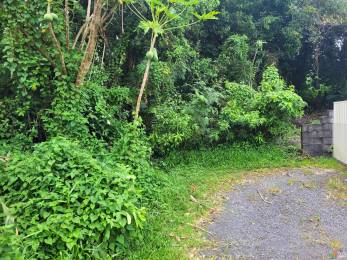 Achat Terrain Sainte-Anne (97437) - REUNION
