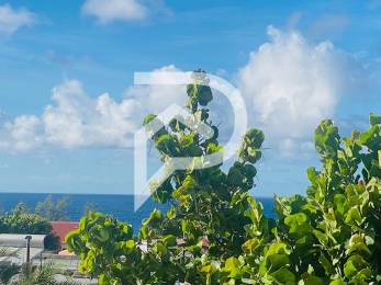 Achat Appartement Saint-Joseph (97480) - REUNION