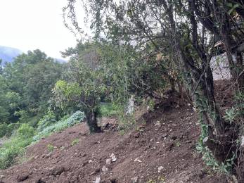 Achat terrain Saint-Leu (97436) - REUNION