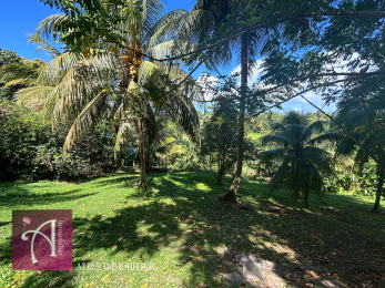 Achat Terrain Lamentin (97129) - GUADELOUPE