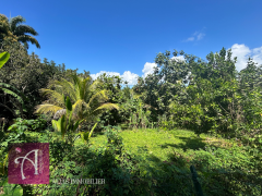achat terrain à lamentin (97129)