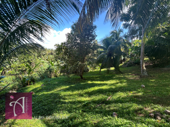 Achat Terrain Lamentin (97129) - GUADELOUPE