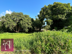achat terrain à baie mahault (97122)