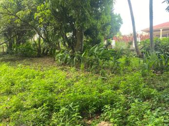 Achat Terrain à Batir Lamentin (97129) - GUADELOUPE