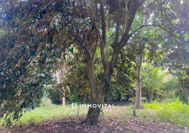 Achat Terrain Lamentin (97129) - GUADELOUPE