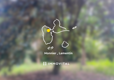 Achat Terrain Lamentin (97129) - GUADELOUPE