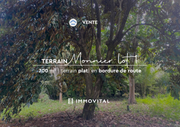 Achat Terrain Lamentin (97129) - GUADELOUPE