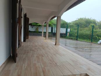 Achat Maison Plaine des Palmistes (97431) - REUNION