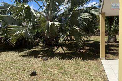 Achat Maison Sainte-Marie (97438) - REUNION