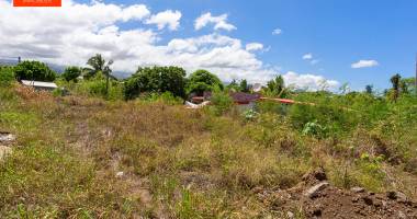 a vendre- saint pierre- terrain-vue montagne.