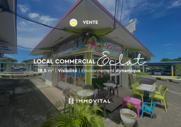 Achat Murs Commerciaux Basse Terre (97100) - GUADELOUPE