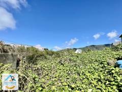 achat terrain à saint-joseph (97480)