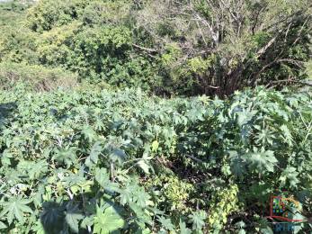 Achat terrain Sainte-Anne (97180) - GUADELOUPE