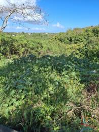 Achat terrain Sainte-Anne (97180) - GUADELOUPE
