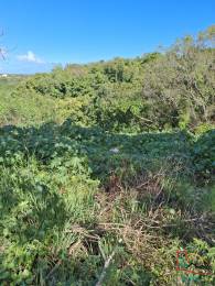 Achat terrain Sainte-Anne (97180) - GUADELOUPE