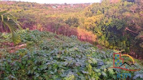 Achat terrain Sainte-Anne (97180) - GUADELOUPE