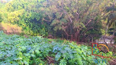 Achat terrain Sainte-Anne (97180) - GUADELOUPE