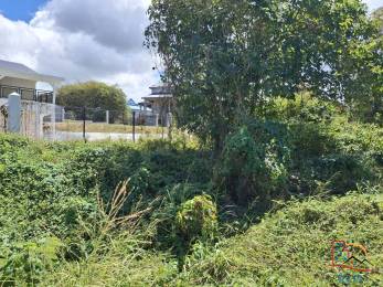 Achat terrain Le Moule (97160) - GUADELOUPE