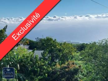 Achat Immeuble Saint-Leu (97436) - REUNION