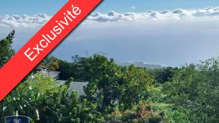 achat immeuble à saint-leu (97436)