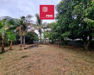 Achat Terrain Saint-Pierre (97410) - REUNION