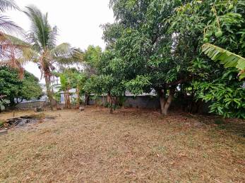 Achat Terrain Saint-Pierre (97410) - REUNION