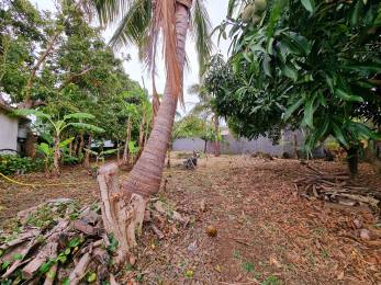 Achat Terrain Saint-Pierre (97410) - REUNION