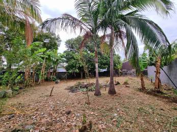 Achat Terrain Saint-Pierre (97410) - REUNION